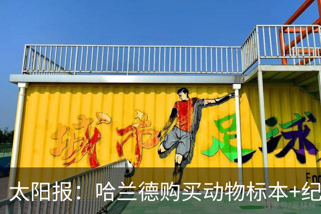 太阳报：哈兰德购买动物标本+纪念品并为队友买单，花费约1万美元