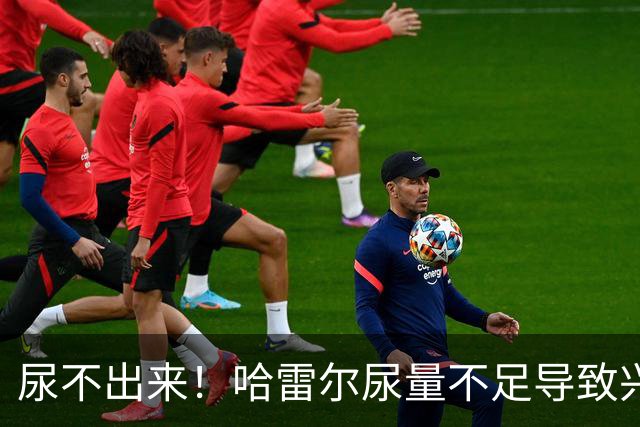 尿不出来！哈雷尔尿量不足导致兴奋剂检测未完成 被禁赛至明年1月