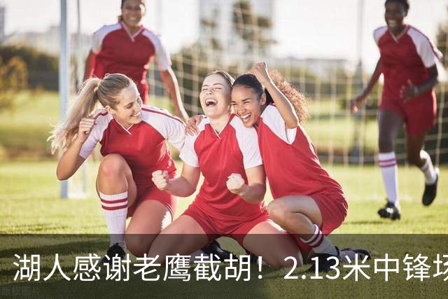 湖人感谢老鹰截胡！2.13米中锋场均8+4远低预期 萨总930万亏哭了