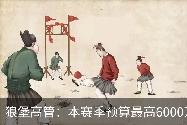狼堡高管：本赛季预算最高6000万欧，力争完成在德乙的目标