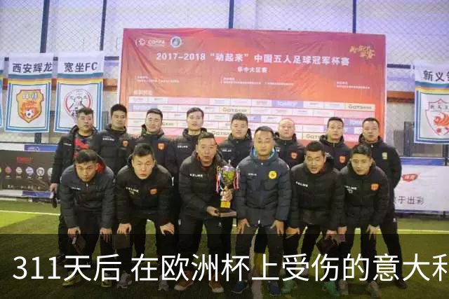 311天后 在欧洲杯上受伤的意大利国脚终于复出了